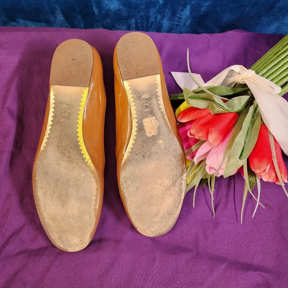 Tory Burch Shoes - Picture 7 of 7